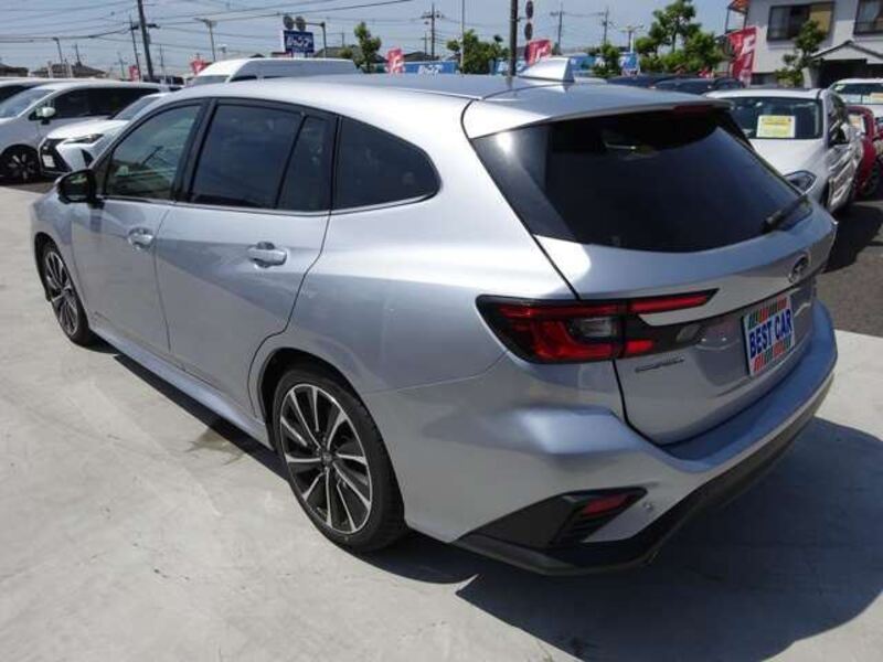 LEVORG