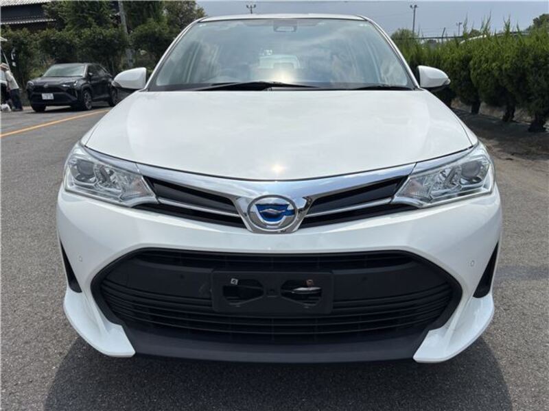 COROLLA FIELDER
