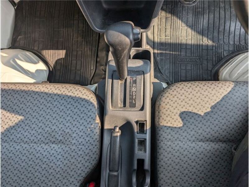 CARRY TRUCK