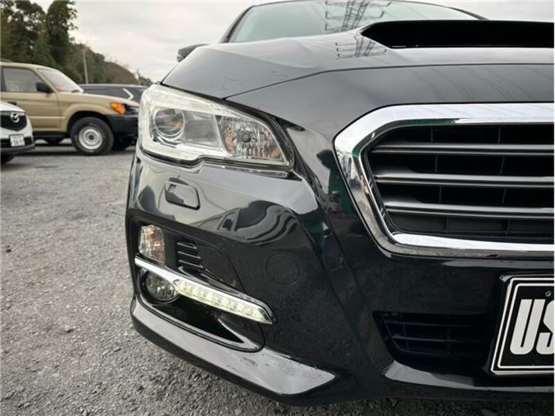 LEVORG