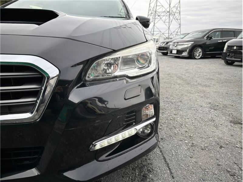 LEVORG