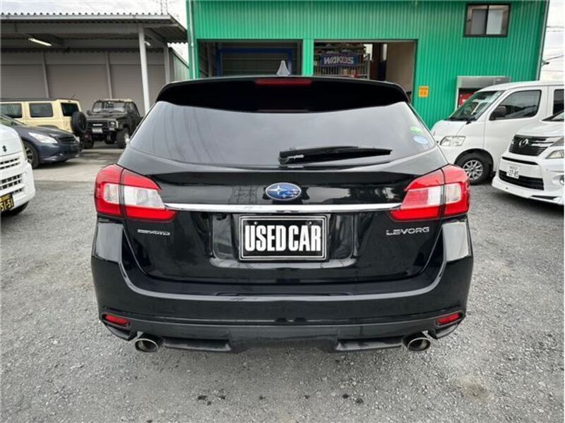 LEVORG