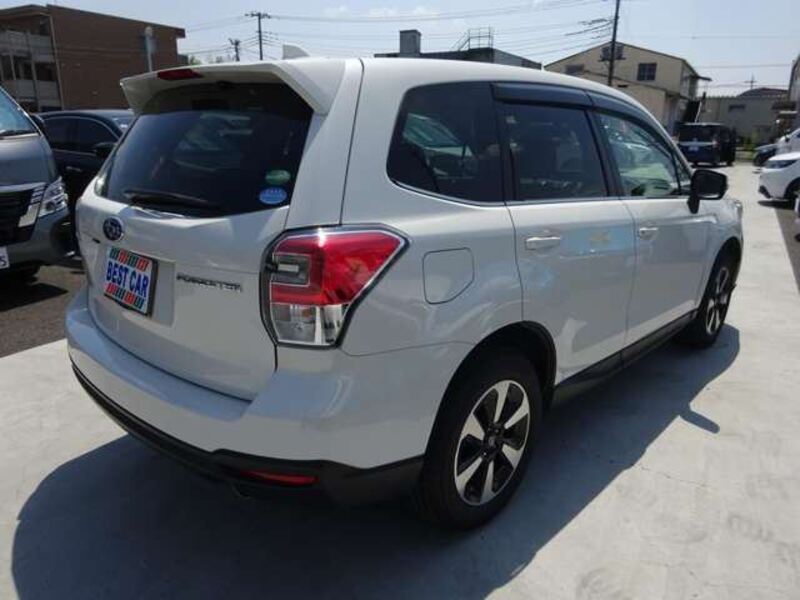FORESTER