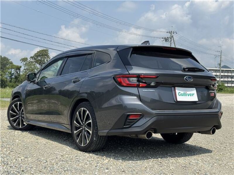 LEVORG