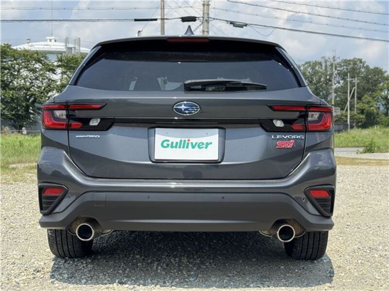 LEVORG