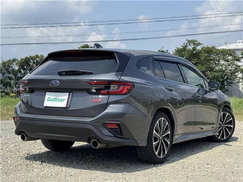 LEVORG