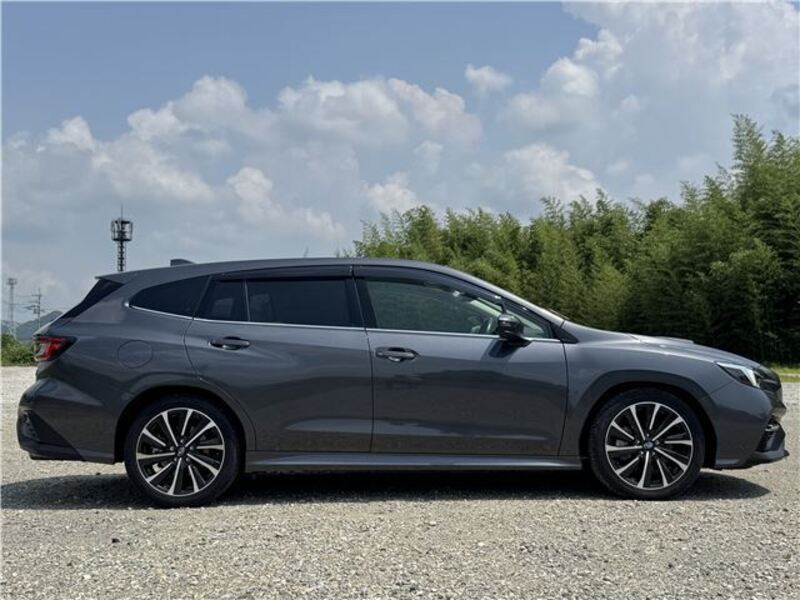 LEVORG