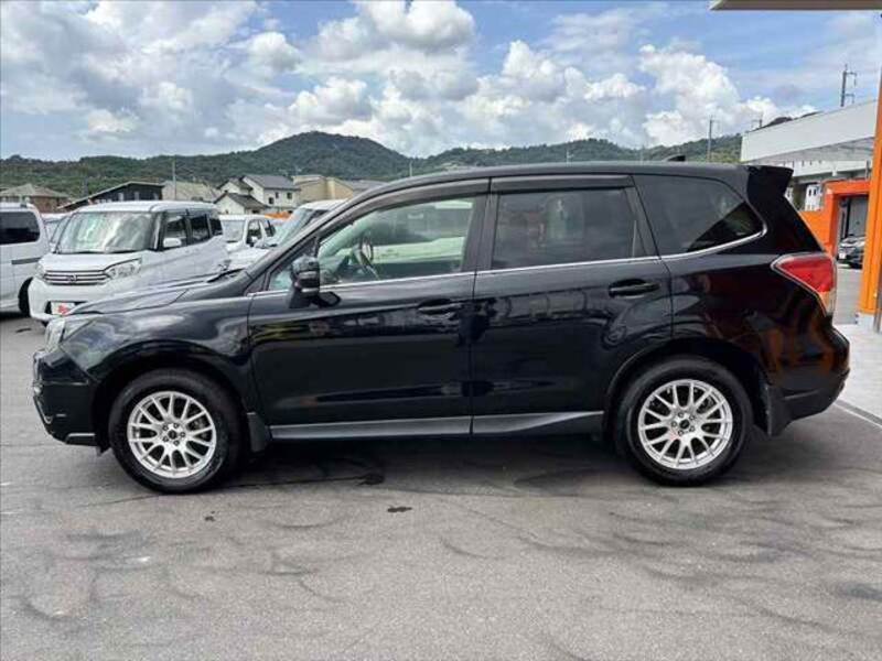 FORESTER