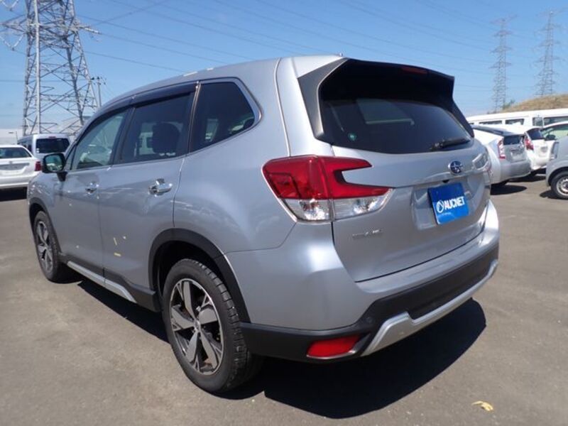FORESTER