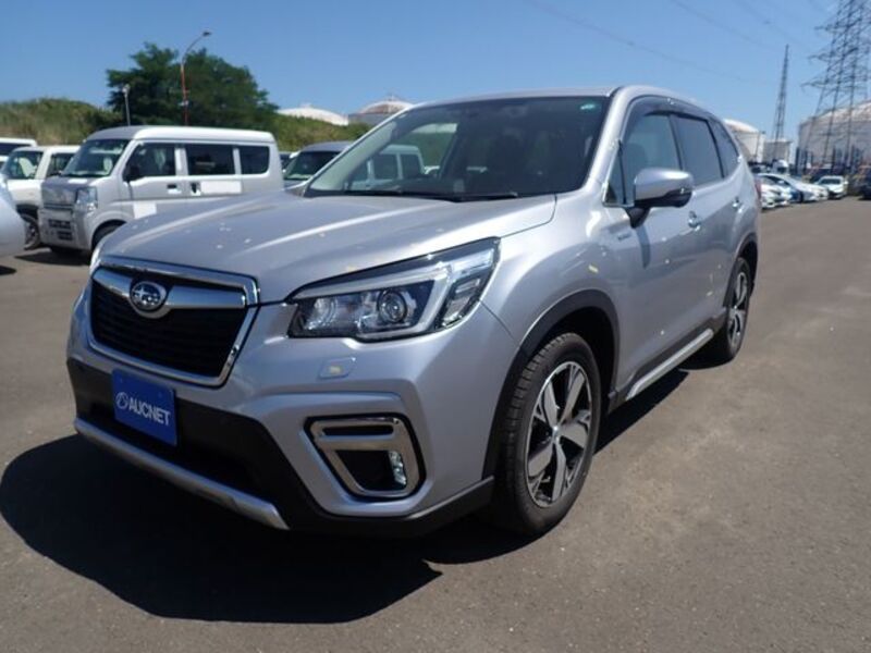 FORESTER