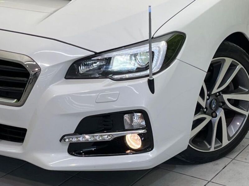 LEVORG