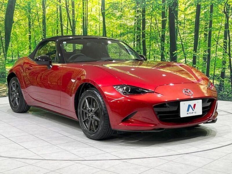 ROADSTER