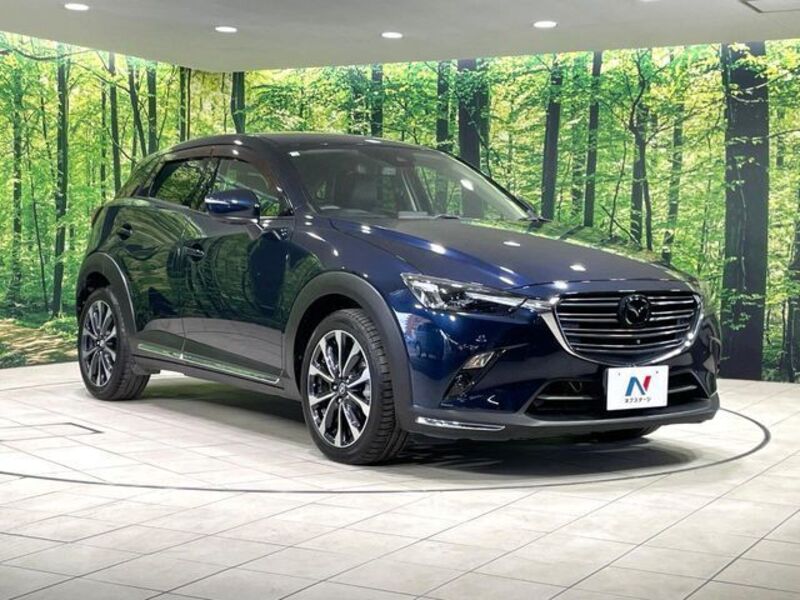 CX-3