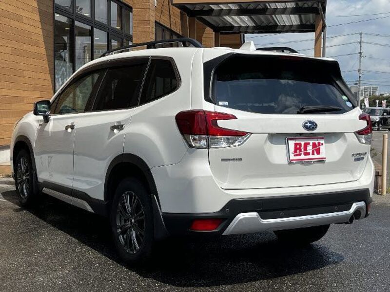 FORESTER