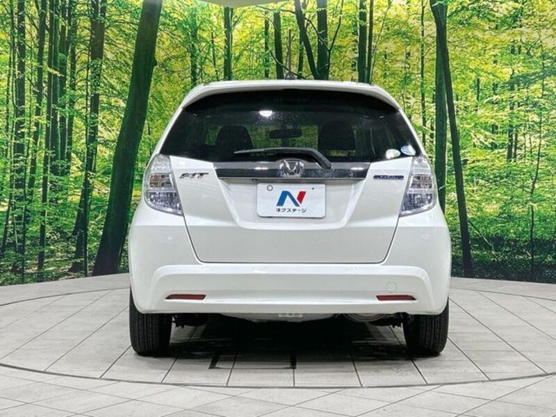 FIT HYBRID