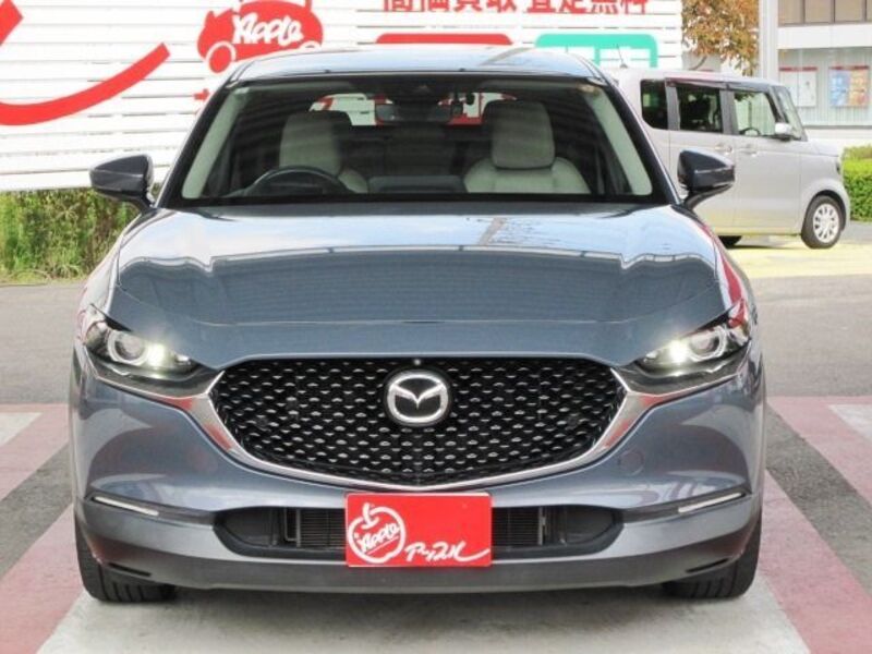 CX-30