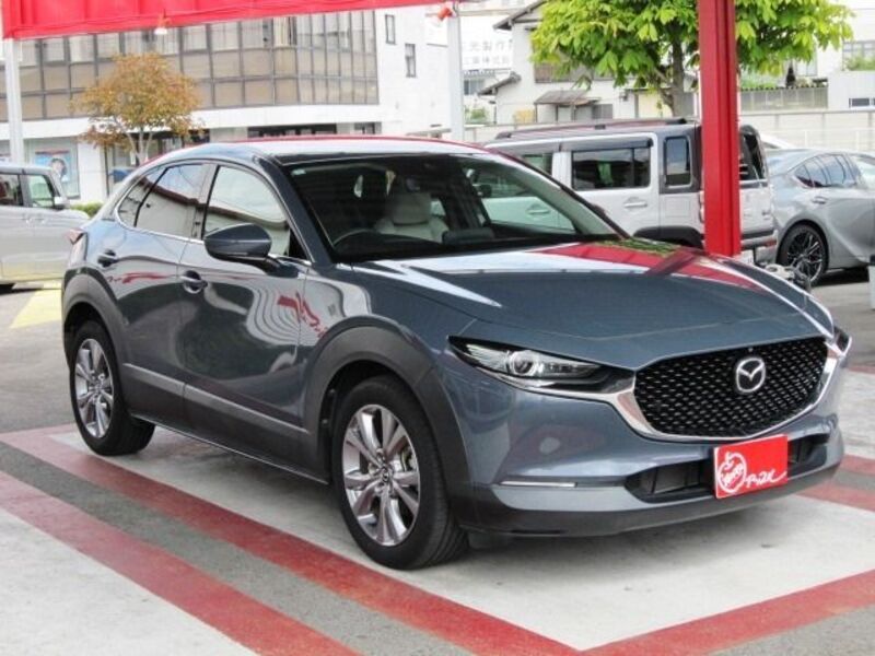CX-30