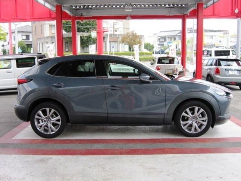 CX-30