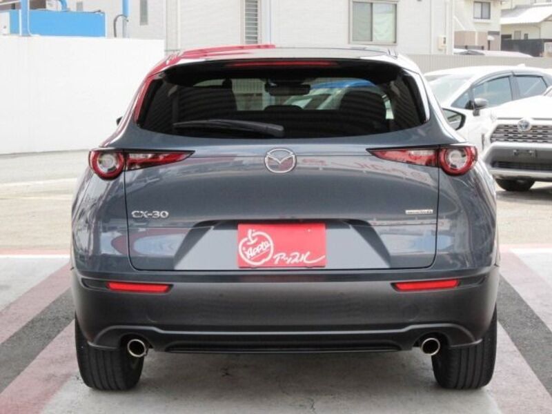 CX-30