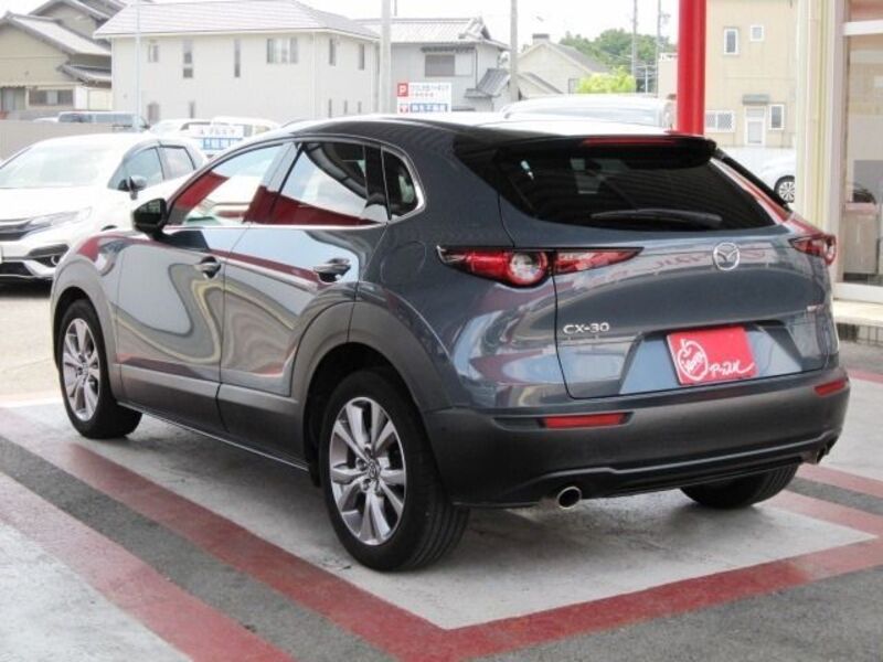 CX-30