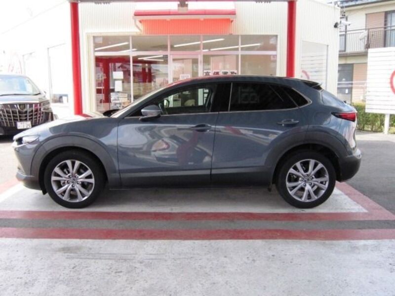 CX-30