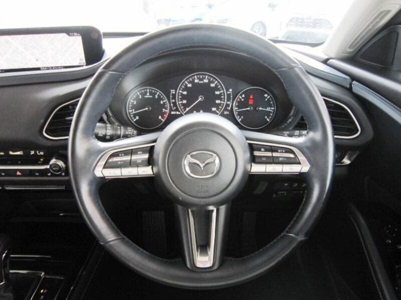 CX-30