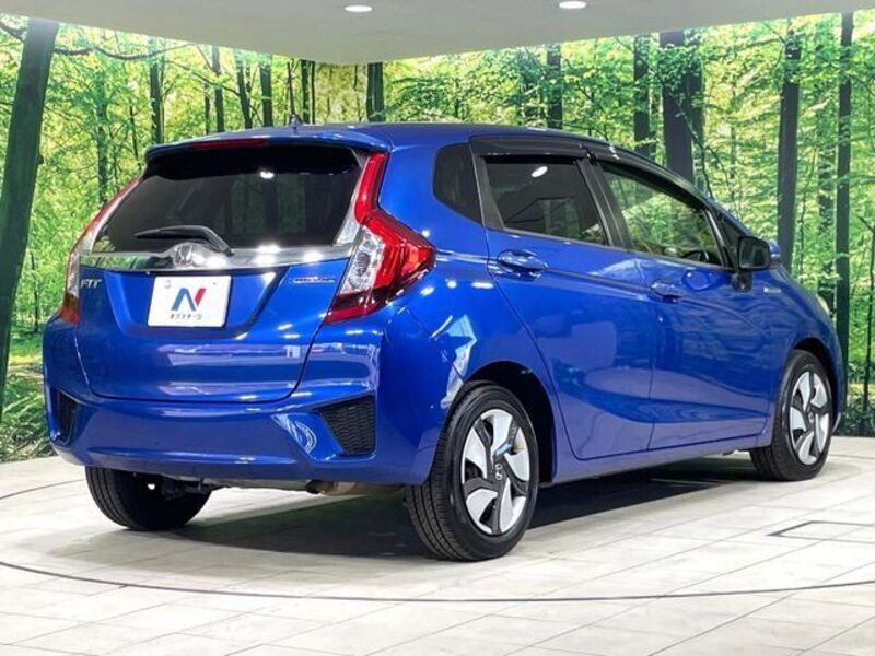 FIT HYBRID