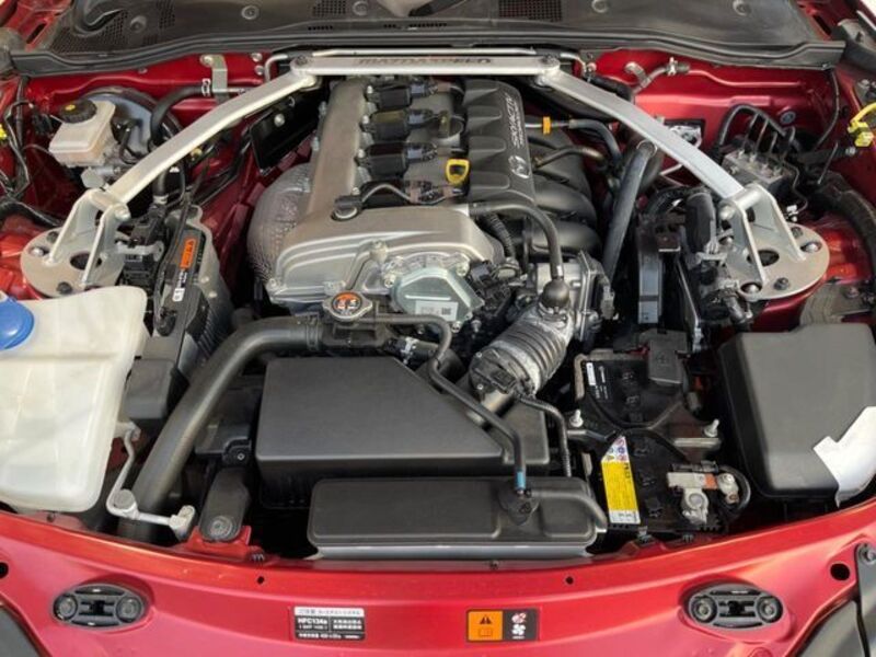 ROADSTER RF