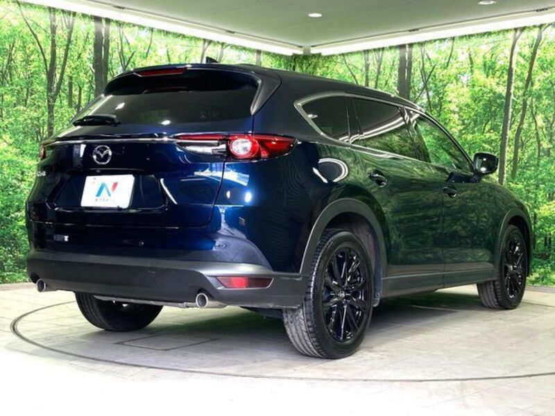 CX-8