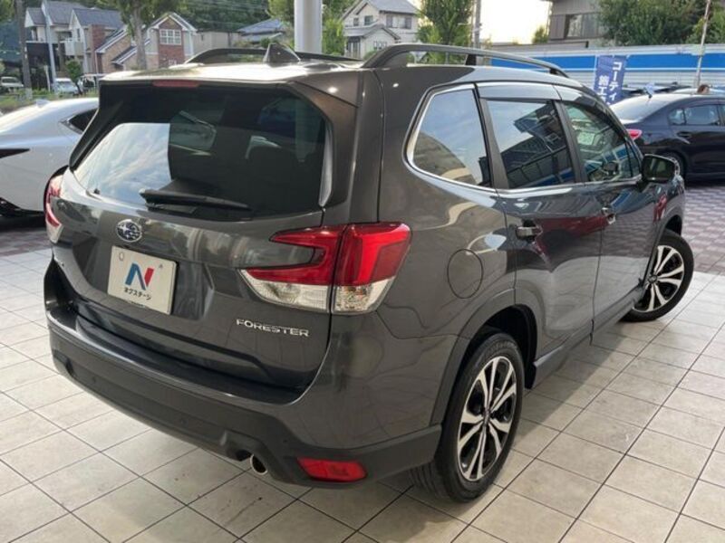 FORESTER