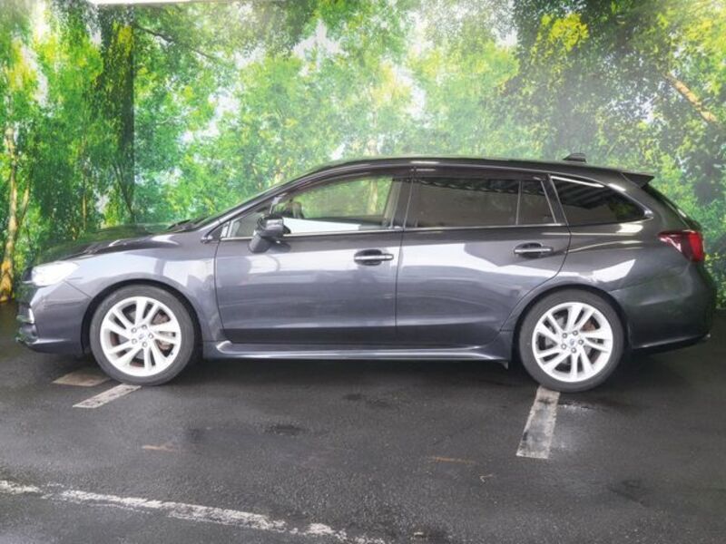 LEVORG