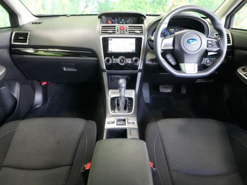 LEVORG