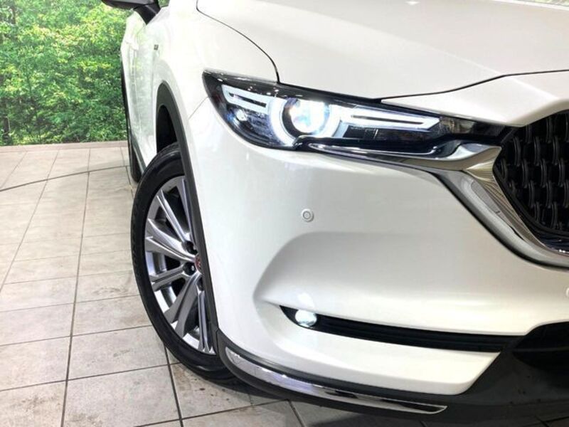 CX-8