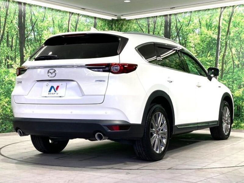 CX-8