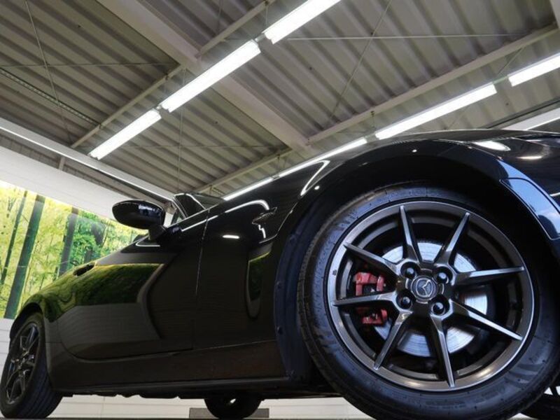 ROADSTER