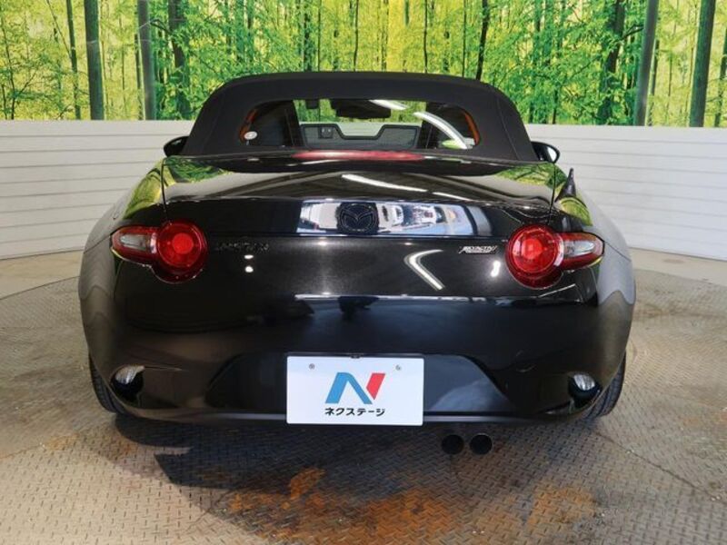 ROADSTER