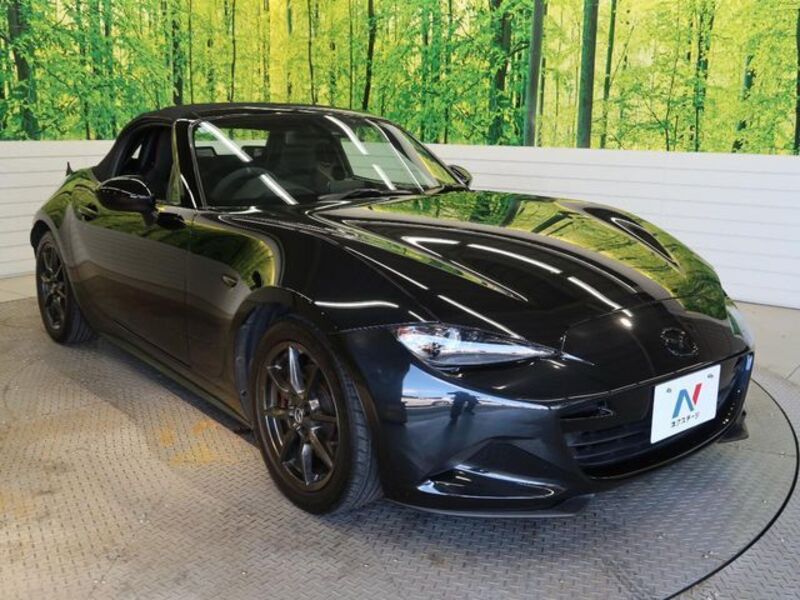 ROADSTER