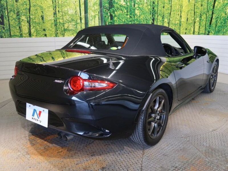 ROADSTER