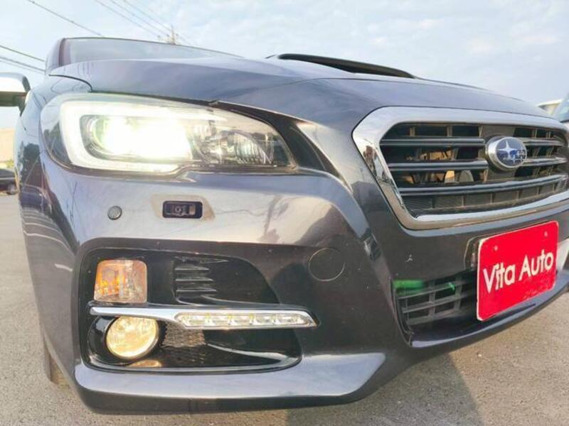 LEVORG