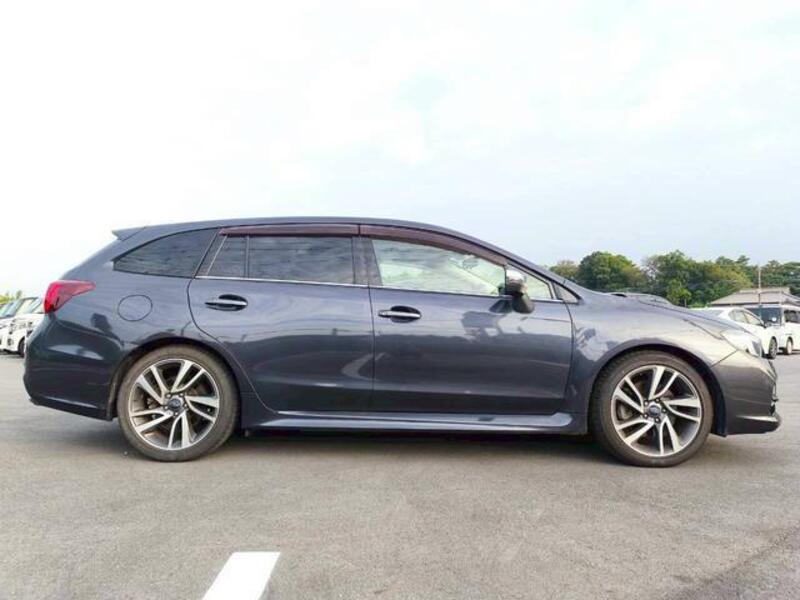 LEVORG