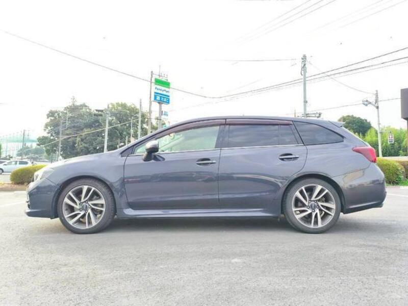 LEVORG