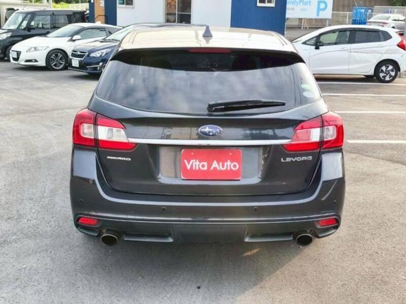 LEVORG