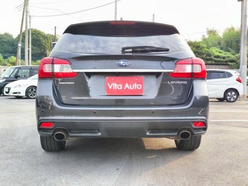 LEVORG