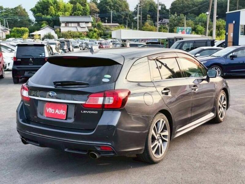LEVORG