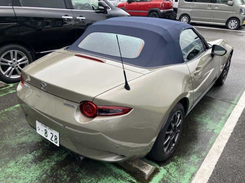 ROADSTER