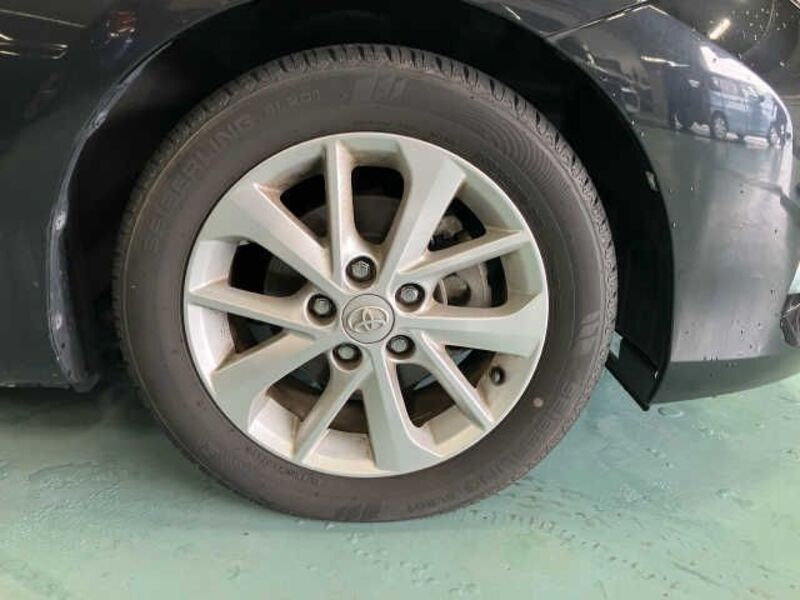 AURIS