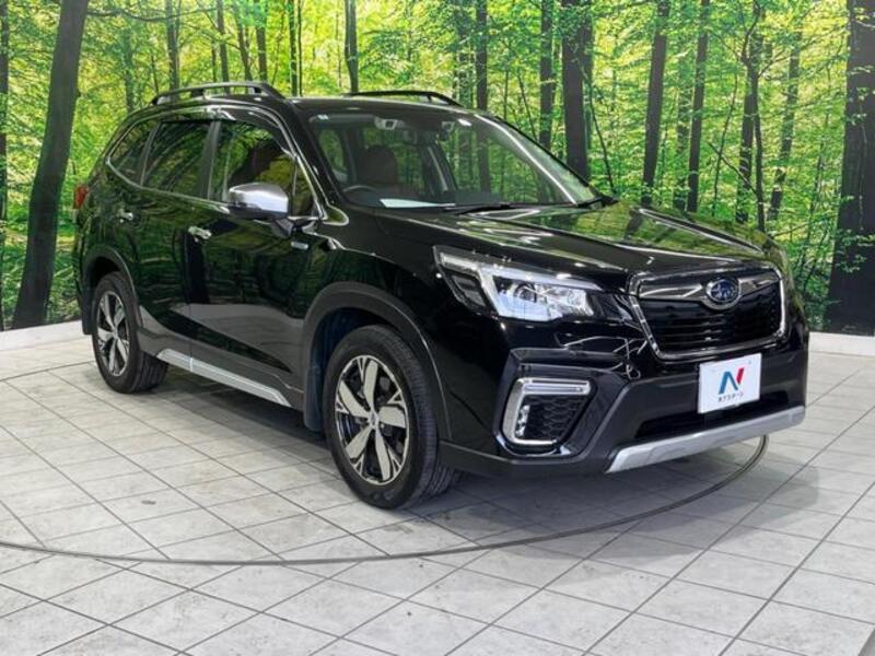 FORESTER