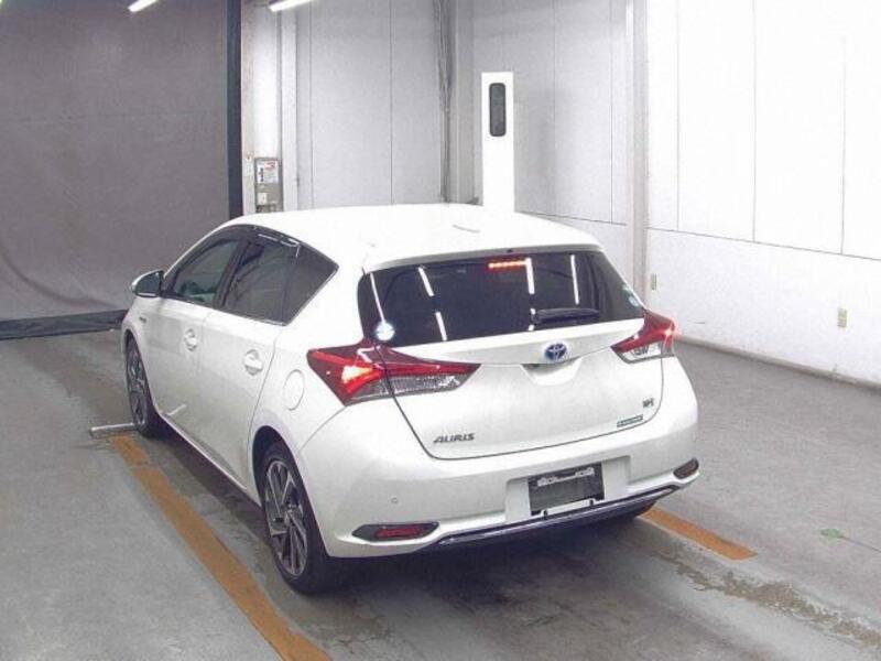 AURIS