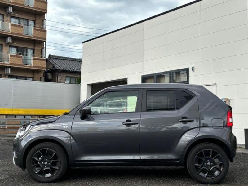 IGNIS