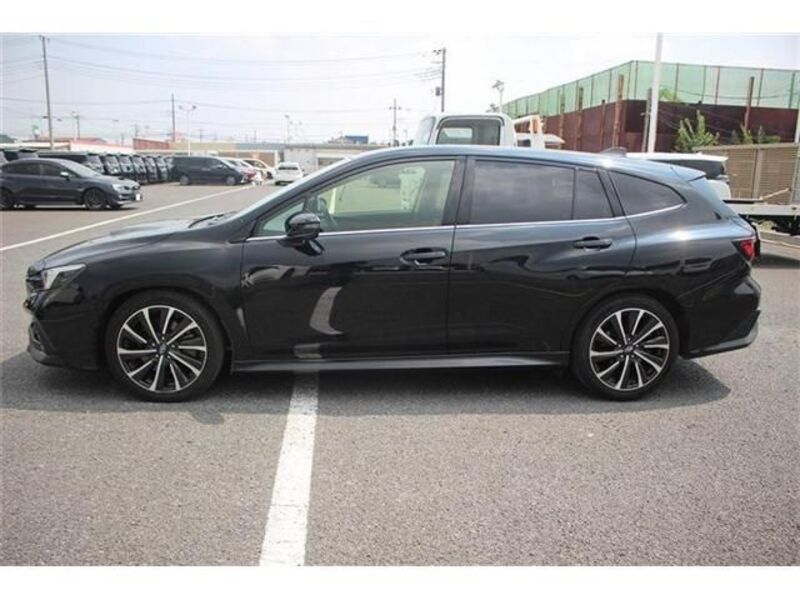 LEVORG